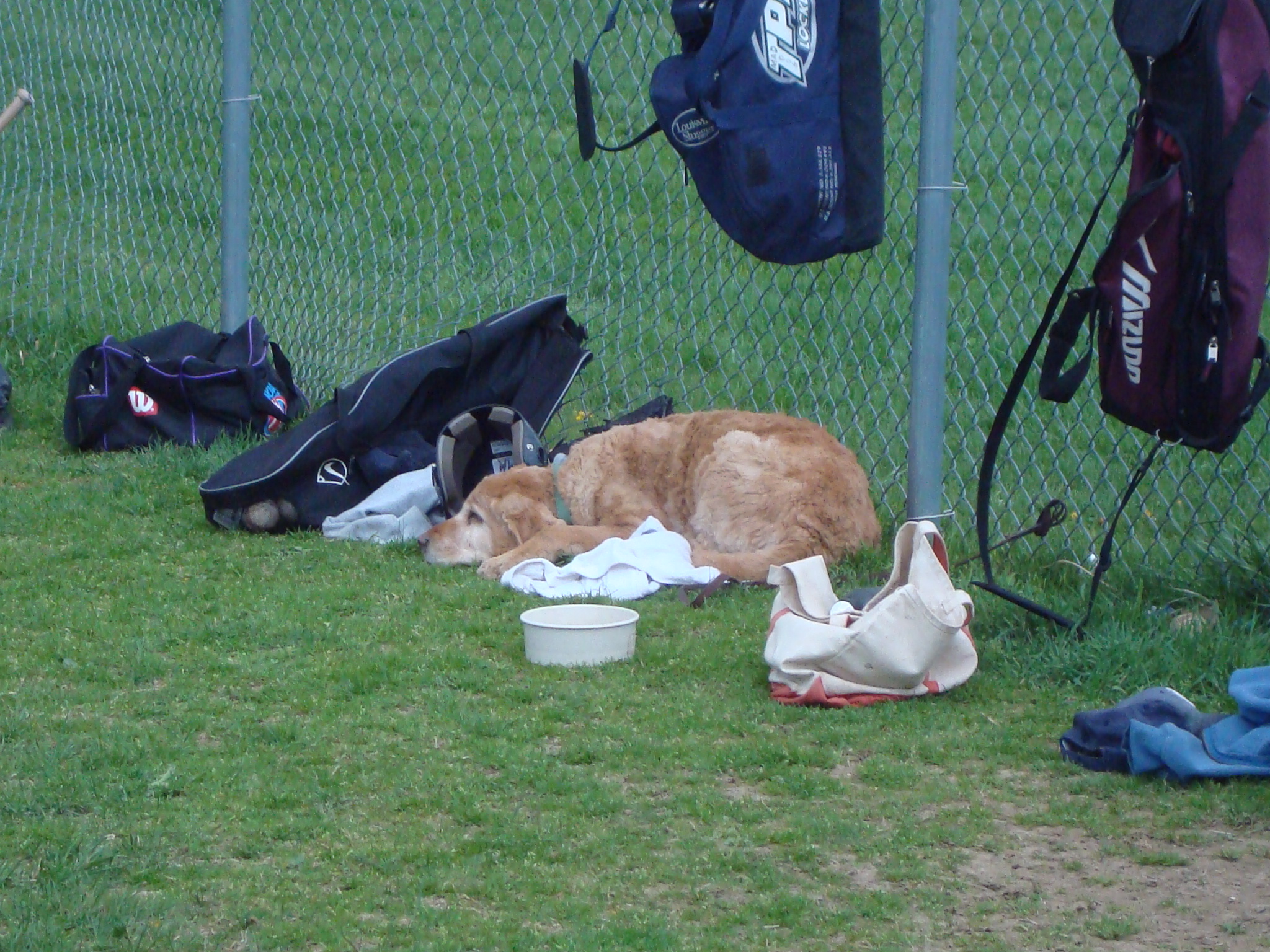 Jake waiting for the beer inning